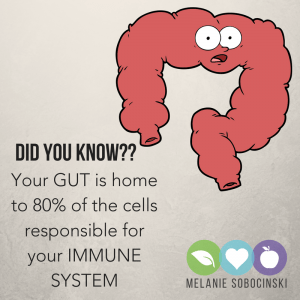 Your gut health is tied to your immune system